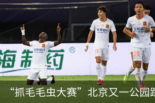 “抓毛毛虫大赛”北京又一公园跟进！不到两小时捉了约1.6万只