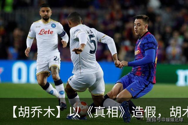 【胡乔木】以《真相》造假，胡木英担忧：年轻人要有辨别力和判断力