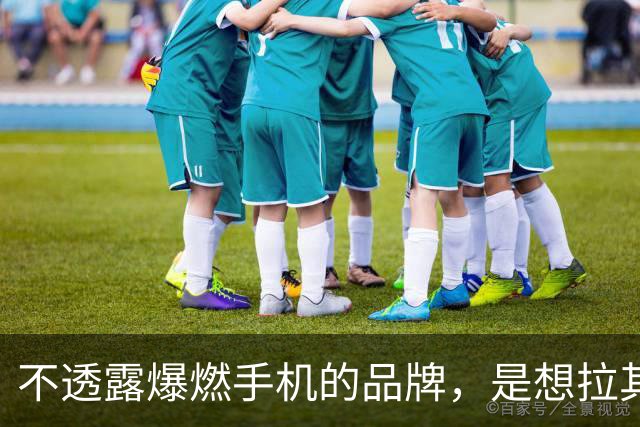 不透露爆燃手机的品牌，是想拉其他家下水吗？