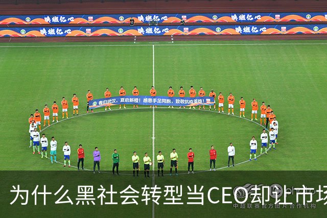 为什么黑社会转型当CEO却让市场更乱了