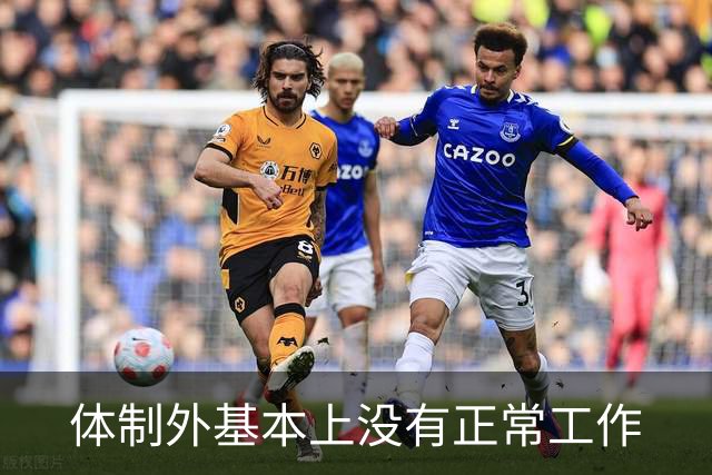 体制外基本上没有正常工作