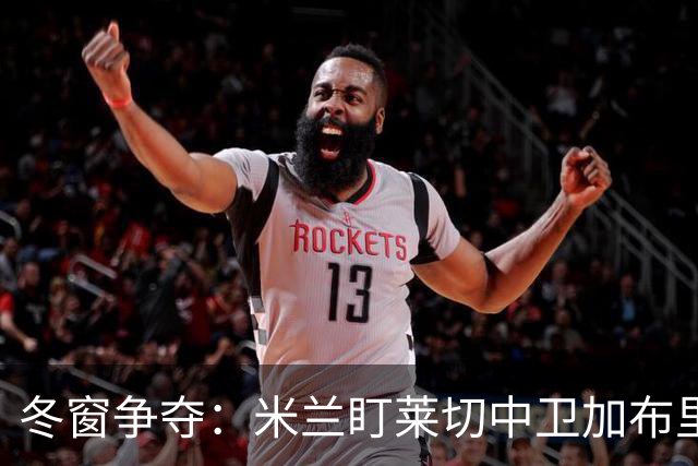 冬窗争夺：米兰盯莱切中卫加布里埃尔 埃弗顿水晶宫已询价