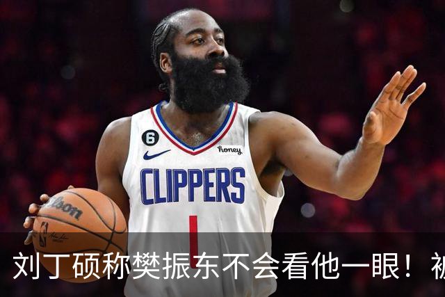 刘丁硕称樊振东不会看他一眼！被质疑以德报怨：2次公开落井下石