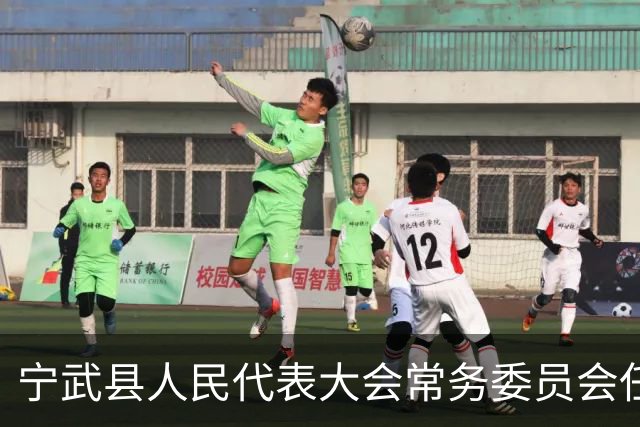 宁武县人民代表大会常务委员会任免名单