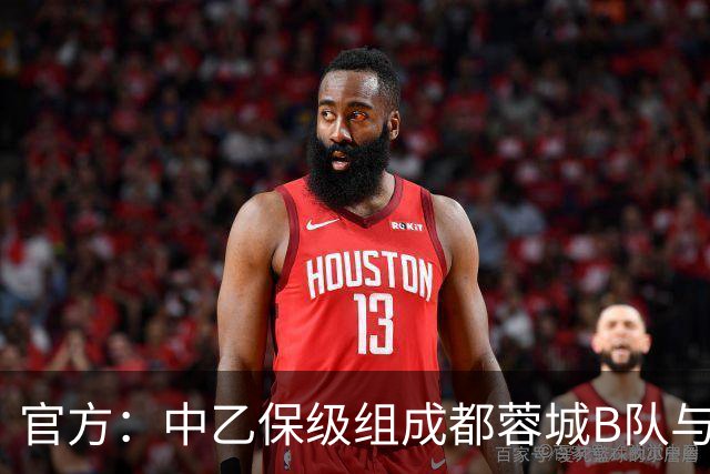 官方：中乙保级组成都蓉城B队与青岛红狮的比赛推迟2天进行