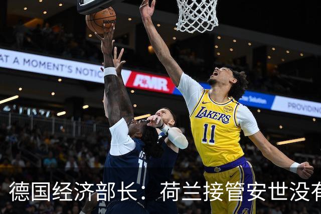 德国经济部长：荷兰接管安世没有任何错，我认为这个决定非常明智