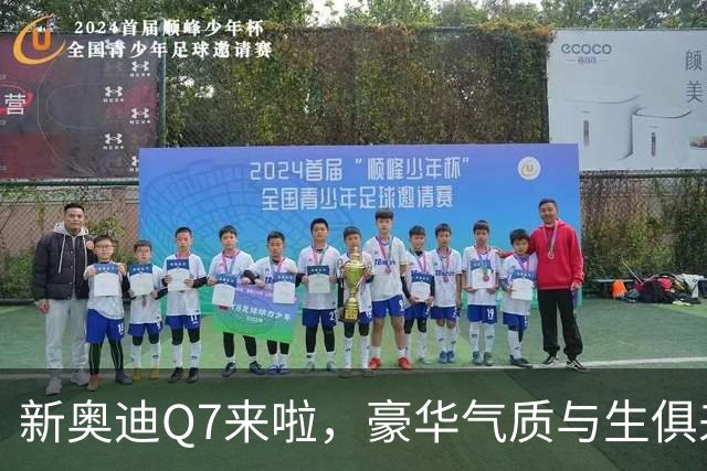 新奥迪Q7来啦，豪华气质与生俱来，配置一流动力澎湃