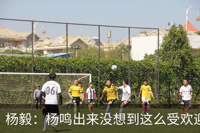 杨毅：杨鸣出来没想到这么受欢迎 他肯定还有执教意愿等最合适机会