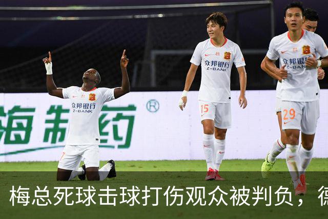 梅总死球击球打伤观众被判负，德约称能感同身受相信其非故意为之