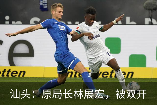 汕头：原局长林展宏，被双开