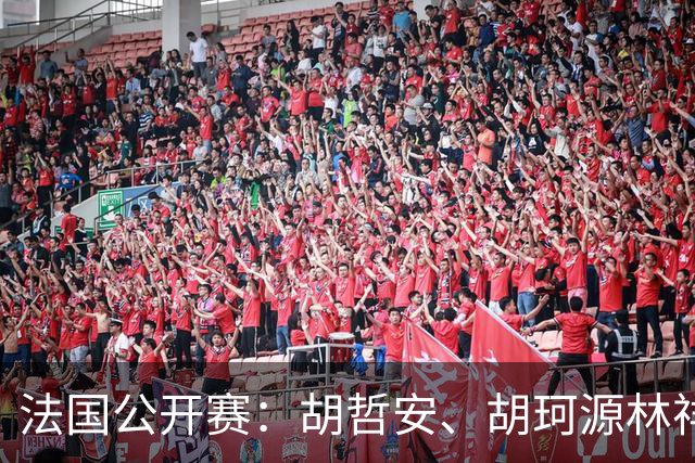 法国公开赛：胡哲安、胡珂源/林祥毅打入八强冲击半决赛