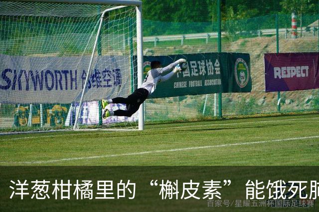 洋葱柑橘里的“槲皮素”能饿死肺癌？新研究：高浓度下几乎阻断癌细胞转移