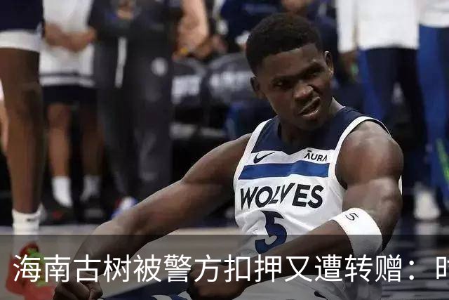 海南古树被警方扣押又遭转赠：时任林业局长被处理，赔偿申请已受理