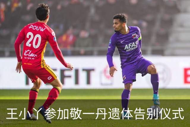 王小丫参加敬一丹遗体告别仪式