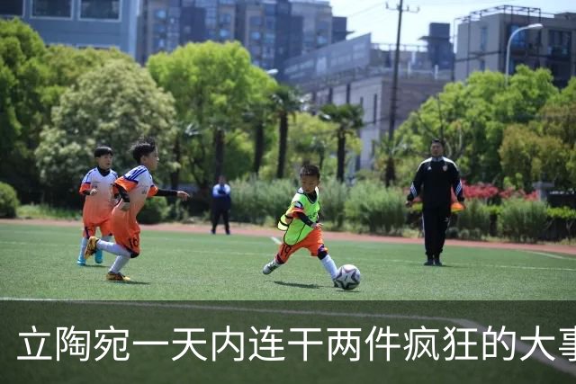 立陶宛一天内连干两件疯狂的大事，硬逼俄罗斯动手？欧洲大祸临头
