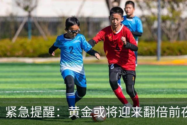 紧急提醒：黄金或将迎来翻倍前夜，这次机遇错过或许再等半世纪