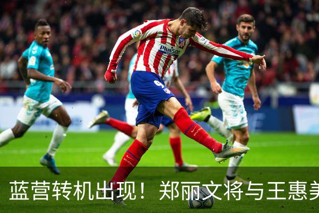 蓝营转机出现！郑丽文将与王惠美会见，拼尽全力翻盘锁定2028大局