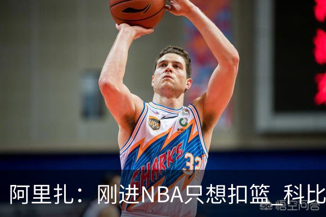 阿里扎：刚进NBA只想扣篮 科比等人不断催我投篮才建立信心转型3D