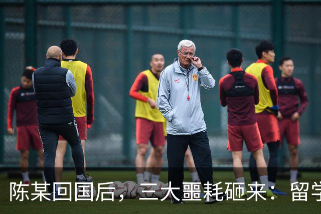 陈某回国后，三大噩耗砸来：留学梦碎、政审无门、还得过法律核查