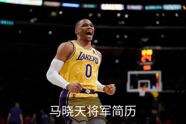 马晓天将军简历