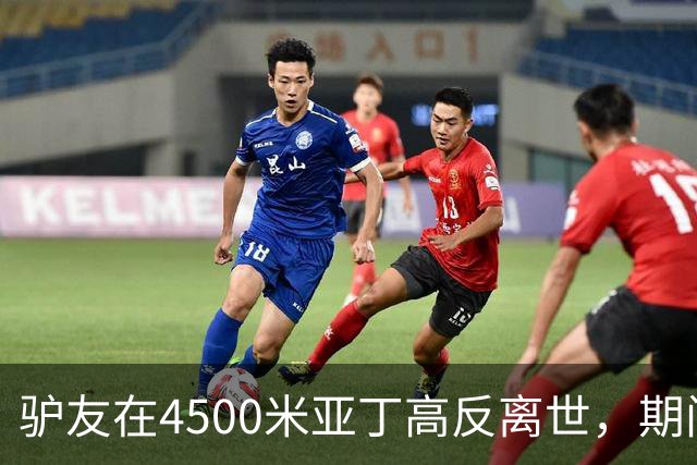 驴友在4500米亚丁高反离世，期间姐姐全网求免费直升机，牧民报价1万被她拉黑