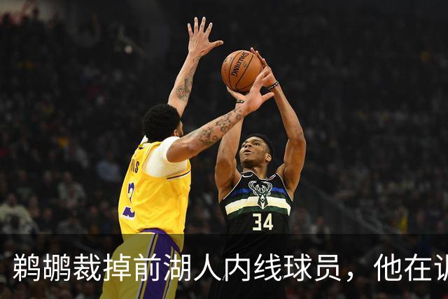 鹈鹕裁掉前湖人内线球员，他在训练营期间的表现无法令人满意？