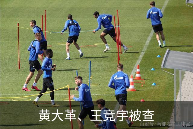 黄大革、王竞宇被查